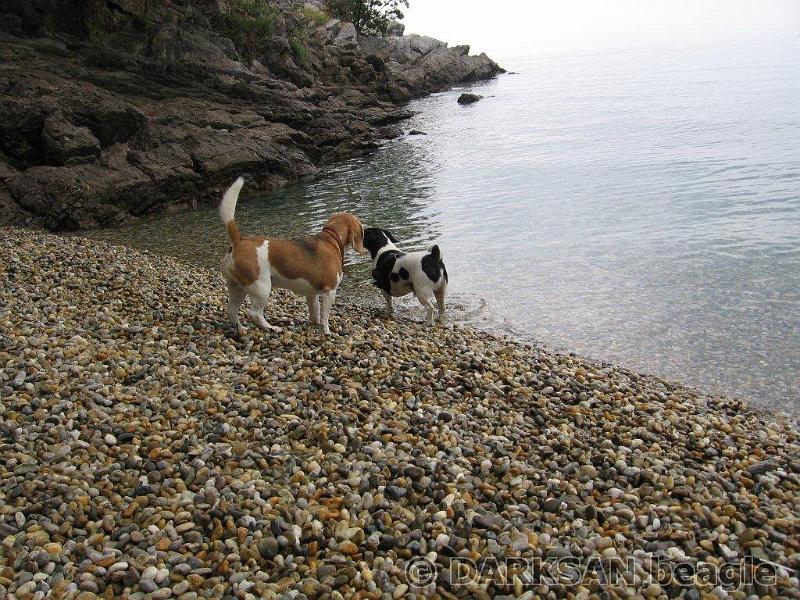 138-2012-09-19 010.jpg